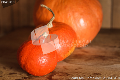 Image of Pumpkins On Grunge Wooden Backdrop Background