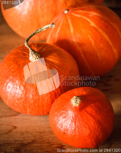 Image of Pumpkins On Grunge Wooden Backdrop Background