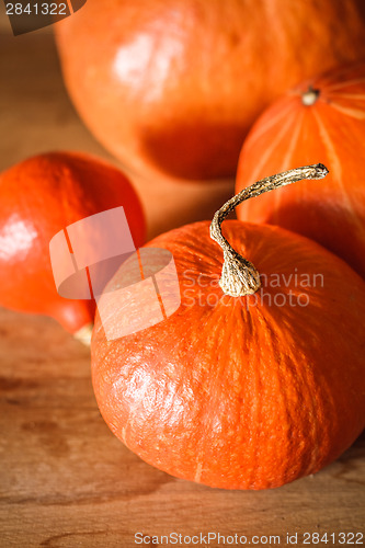 Image of Pumpkins On Grunge Wooden Backdrop Background