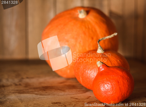 Image of Pumpkins On Grunge Wooden Backdrop Background