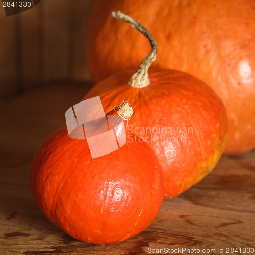 Image of Pumpkins On Grunge Wooden Backdrop Background