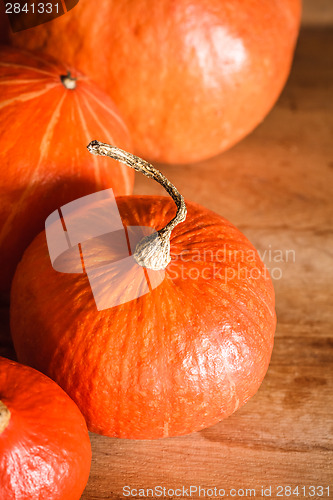 Image of Pumpkins On Grunge Wooden Backdrop Background