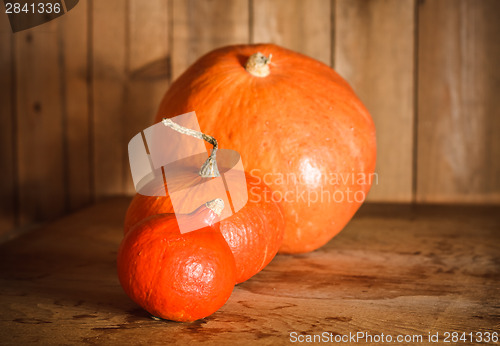 Image of Pumpkins On Grunge Wooden Backdrop Background