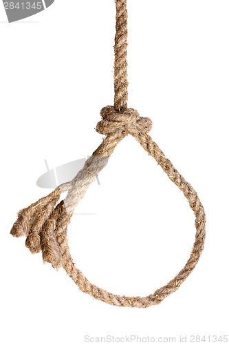 Image of Rope noose on white