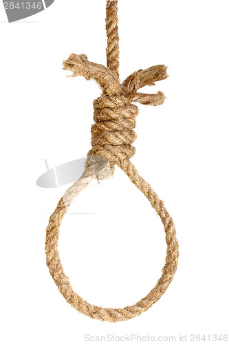 Image of Rope noose on white