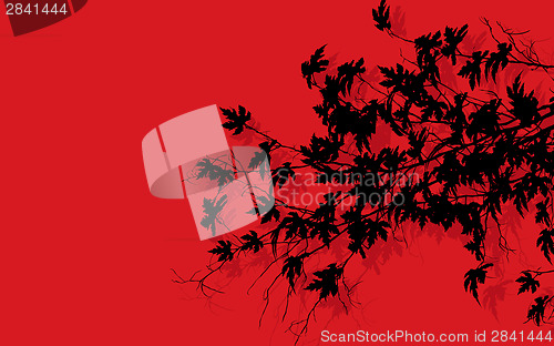 Image of Tree branches over red