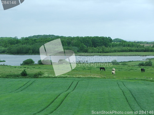 Image of danish landscape
