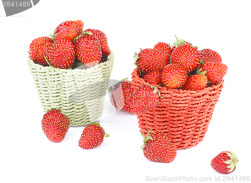 Image of Forest Strawberries