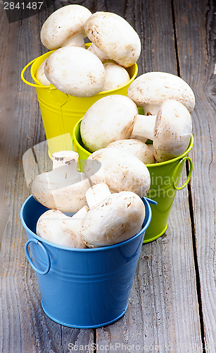 Image of Raw Champignons