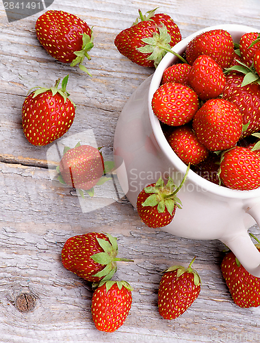 Image of Forest Strawberries