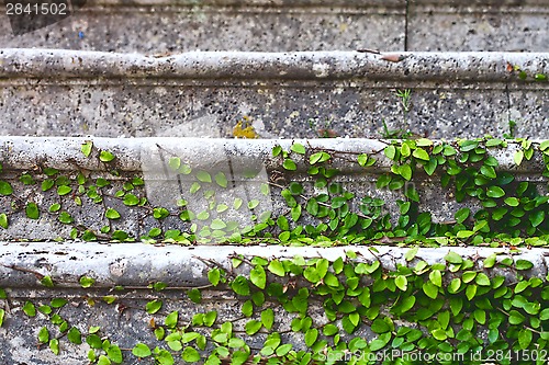 Image of old stairs in park