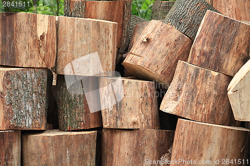 Image of tree trunk sawn into pieces  firewood