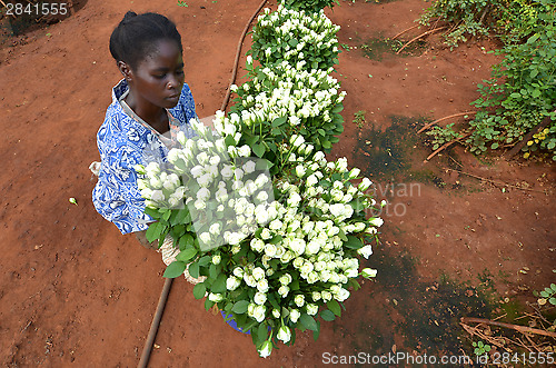 Image of african woman