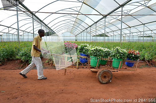 Image of african farmer