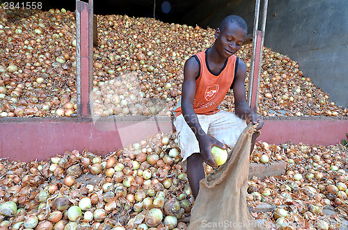 Image of african farmer