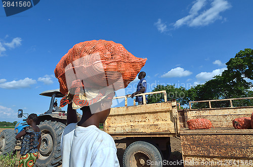 Image of african farmer