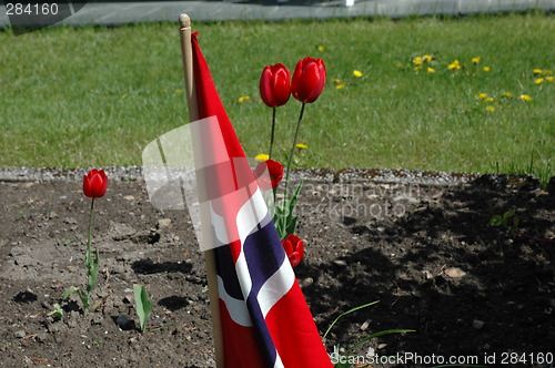 Image of Flag and flowers