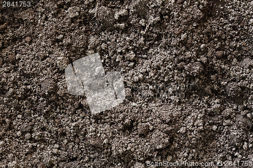 Image of Soil dirt background texture