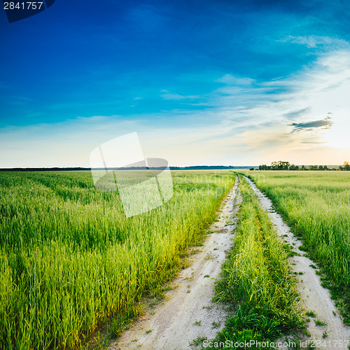 Image of Sunset over rural road in green field 