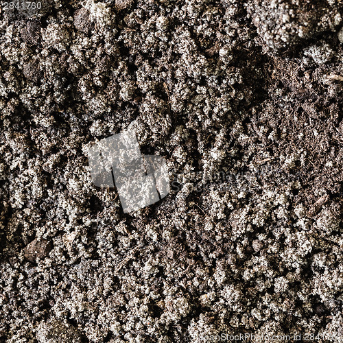 Image of Soil dirt background texture