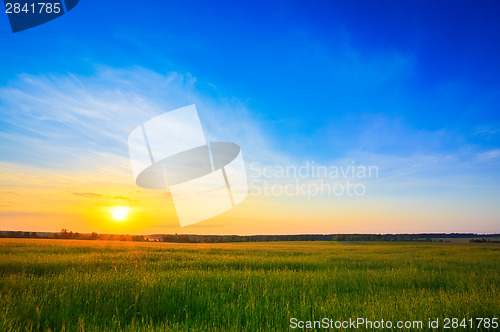 Image of Sunset over rural countryside field
