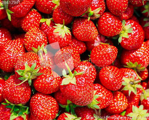 Image of Strawberry. Strawberries. Organic Berries Background