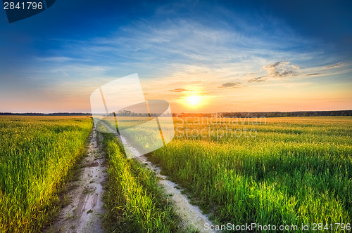 Image of Sunset over rural road in green field 