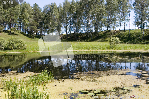 Image of forest lake