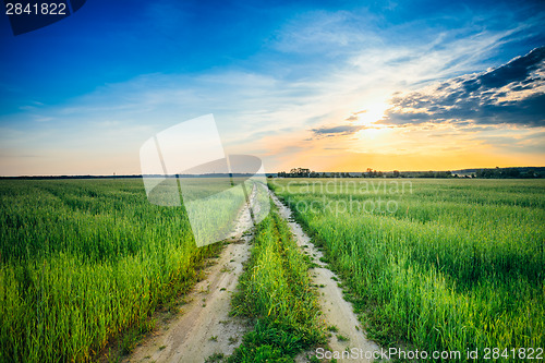 Image of Sunset over rural road in green field 