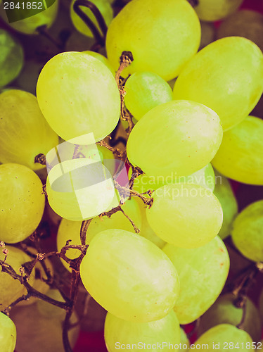 Image of Retro look Grape picture