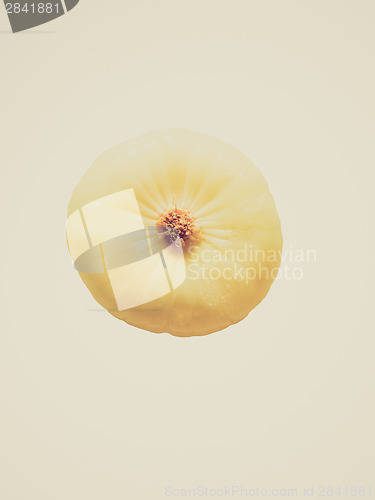 Image of Retro look Onions