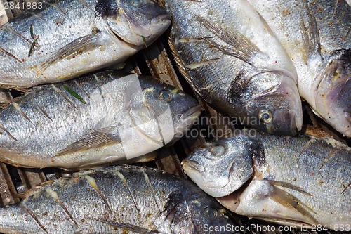 Image of Grilled sea ??breams.