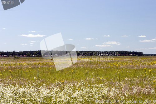 Image of blue sky, green forest and yellow field