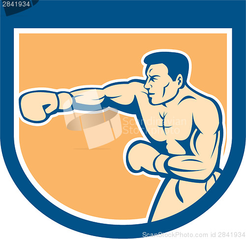 Image of Boxer Boxing Punching Shield Cartoon