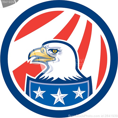 Image of American Bald Eagle Head Flag Circle Retro