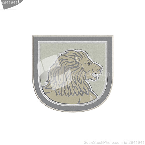 Image of Metallic Lion Big Cat Head Side Shield
