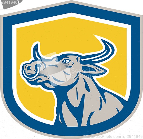 Image of Bull Head Shield Retro