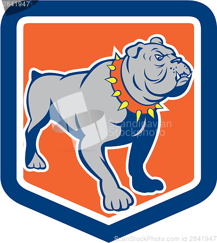 Image of Angry Bulldog Standing Shield Cartoon