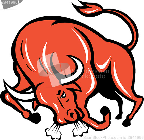 Image of Angry Bull Charging Cartoon