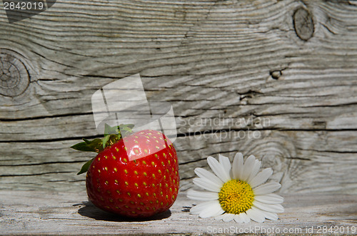 Image of Summer symbols - strawberry and daisy flower