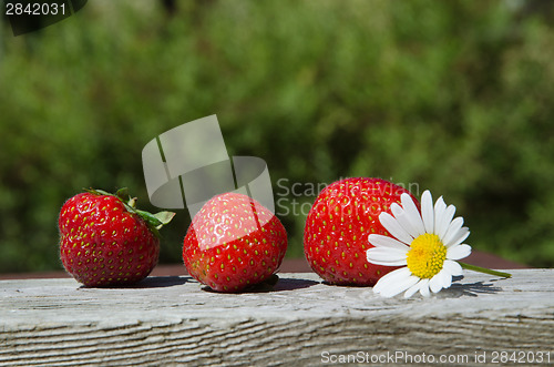 Image of Fresh strawberries at green background