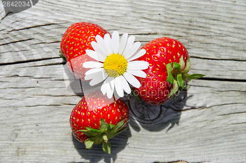 Image of Summer objects - daisy and strawberries