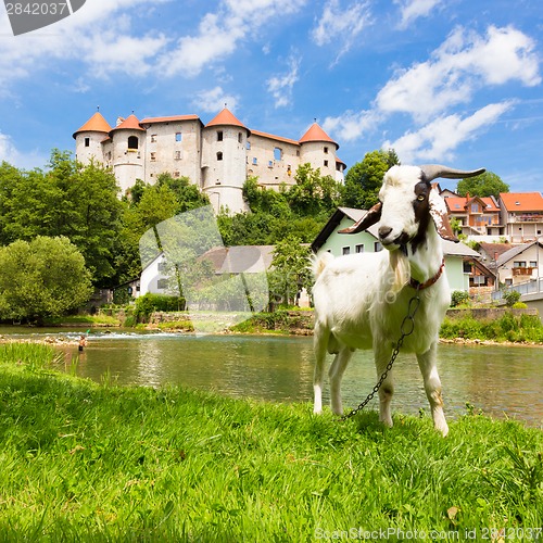 Image of Zuzemberk Castle, Slovenian tourist destination.
