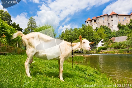 Image of Zuzemberk Castle, Slovenian tourist destination.