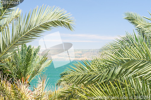Image of Lake Kinneret or Sea of Galilee in the frame of palm fronds
