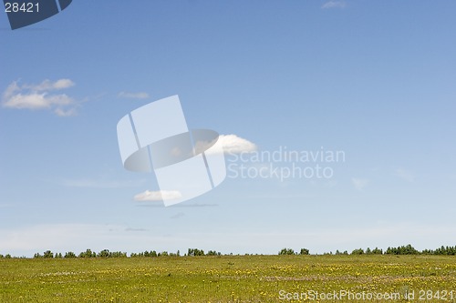 Image of blue sky, green forest and yellow field