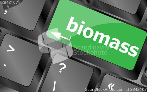 Image of Keyboard keys with biomass word button