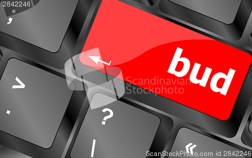 Image of button with bud word on computer keyboard keys