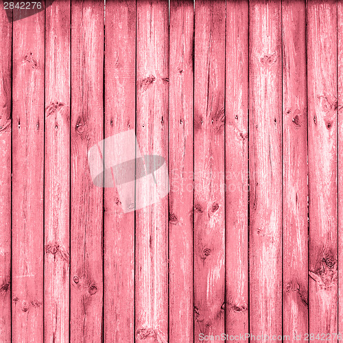 Image of The Grunge Wood Texture With Natural Patterns