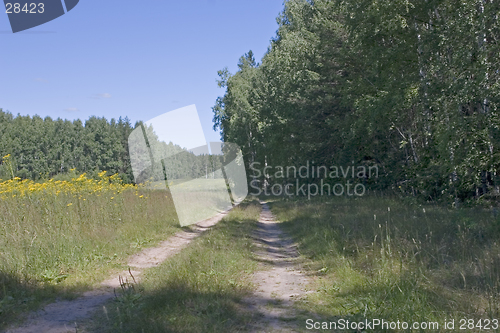 Image of blue sky, green forest and yellow field